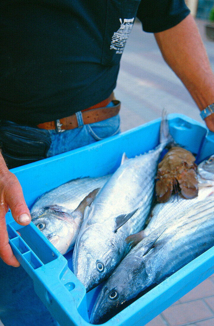 Fresh fish for La Seu restaurant in Moraira. Alicante province, Spain
