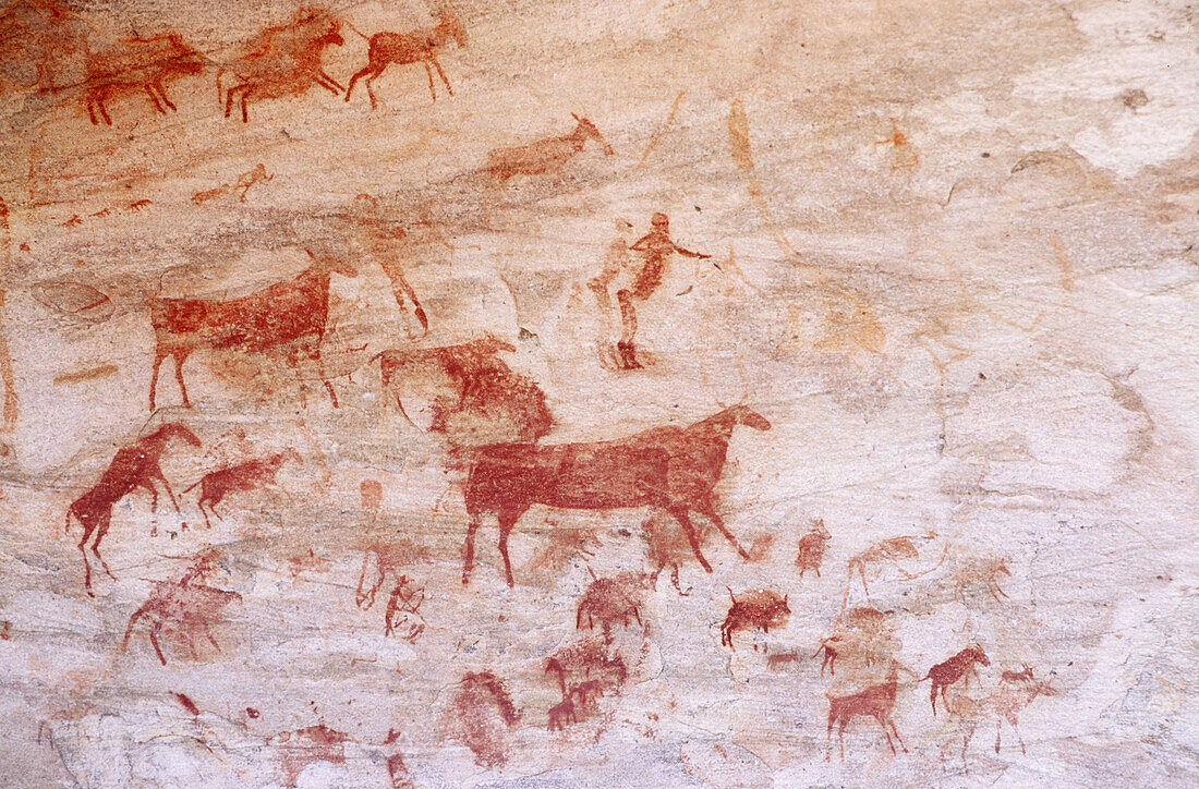 Bushmen cave paintings, Bushmans Kloof Wildlife Reserve, Clanwilliam, South Africa