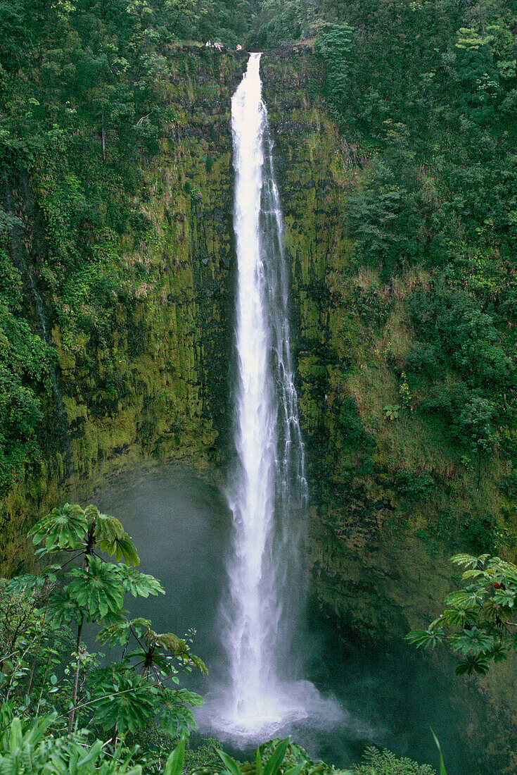 Akaka Falls State Park. Hawaii. USA