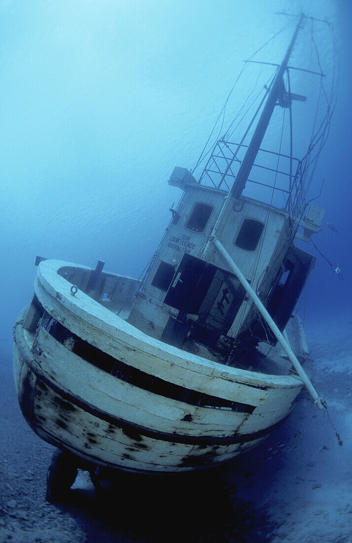 Vertical image of a stern perspective of the newly sunk Dutch fishing boat Our Confidence - now resting in 55 feet and just off the sloping shore of Harbour Village Beach Club - Bonaire, Netherlands Antilles (Caribbean)