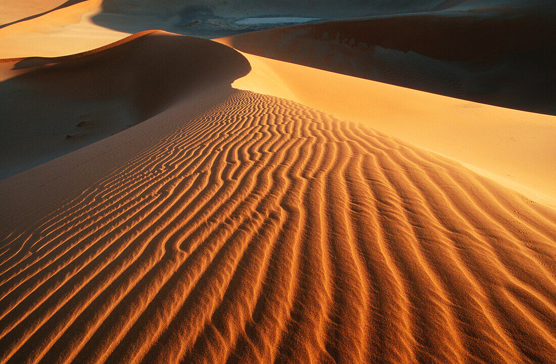 Sand dunes. Namib-Naukluft Park. Namib Desert. Namibia