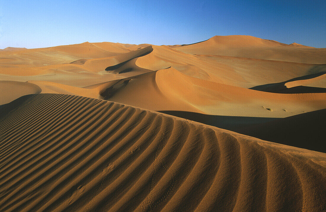 Sand dunes. Namib-Naukluft Park. Namib Desert. Namibia