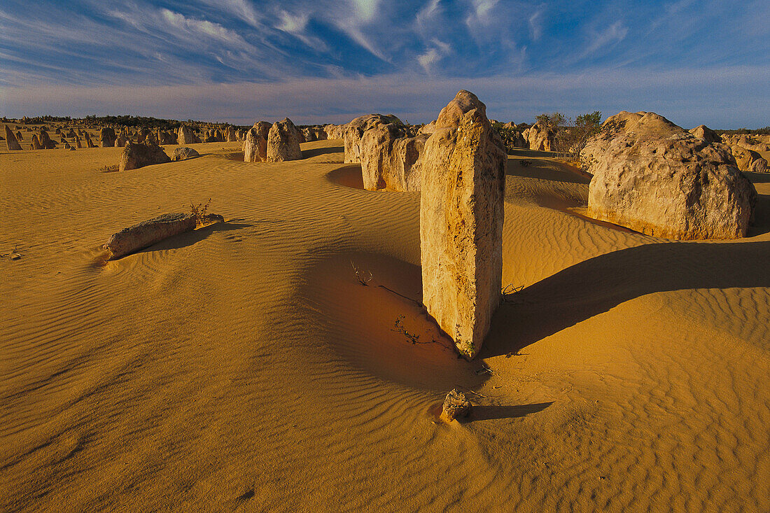 The Pinnacles. Nambung National Park. Western Australia