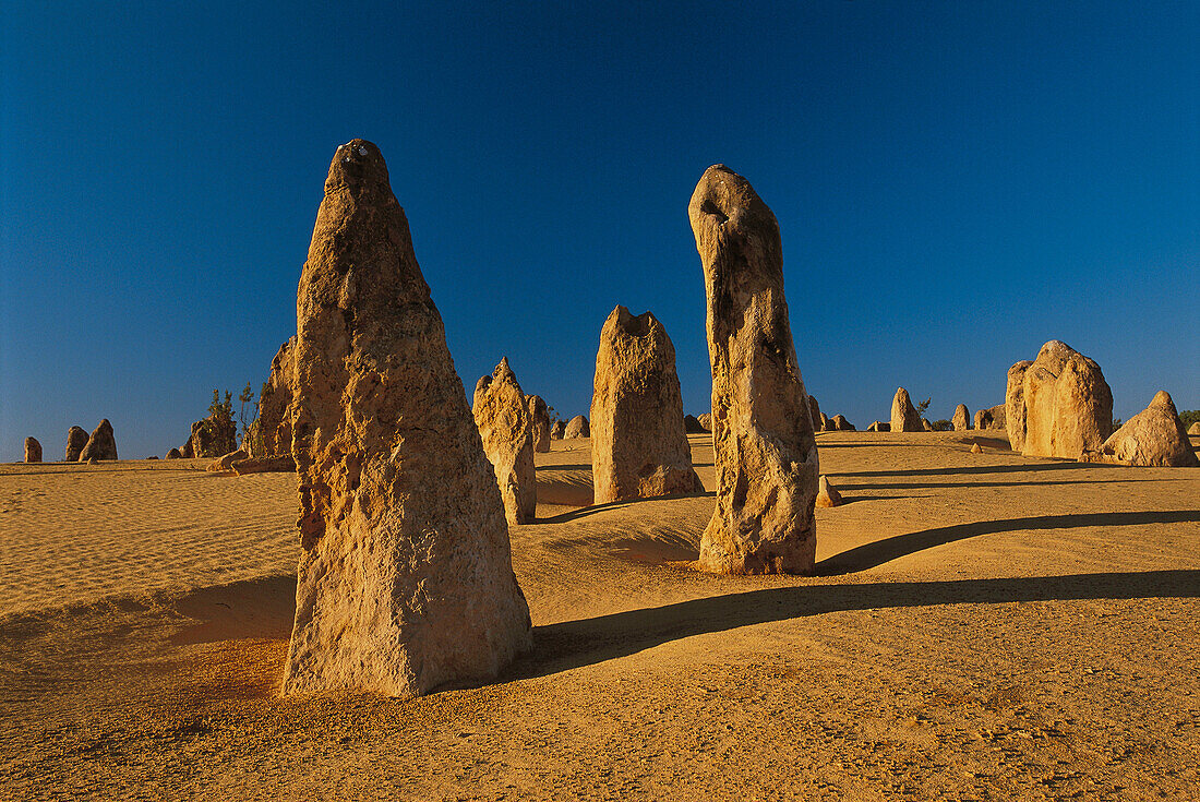 The Pinnacles. Nambung National Park. Western Australia