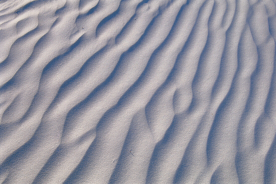 White gipsum dunes. Nambung National Park. Western Australia