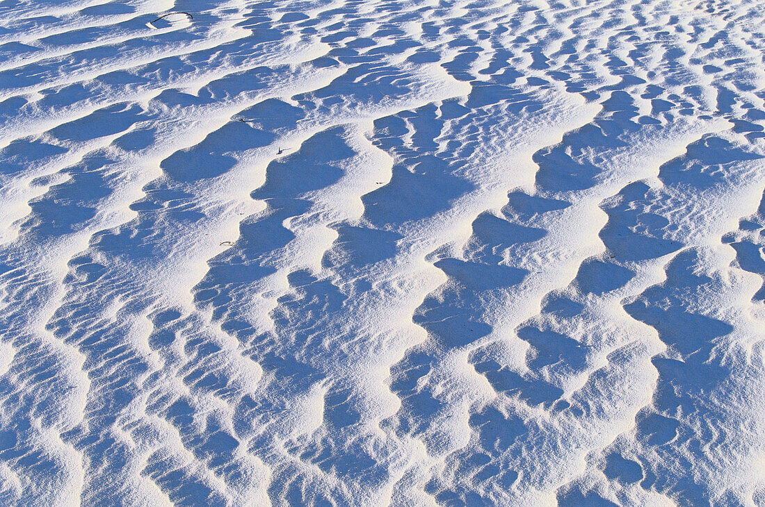 White gipsum dunes. Nambung National Park. Western Australia