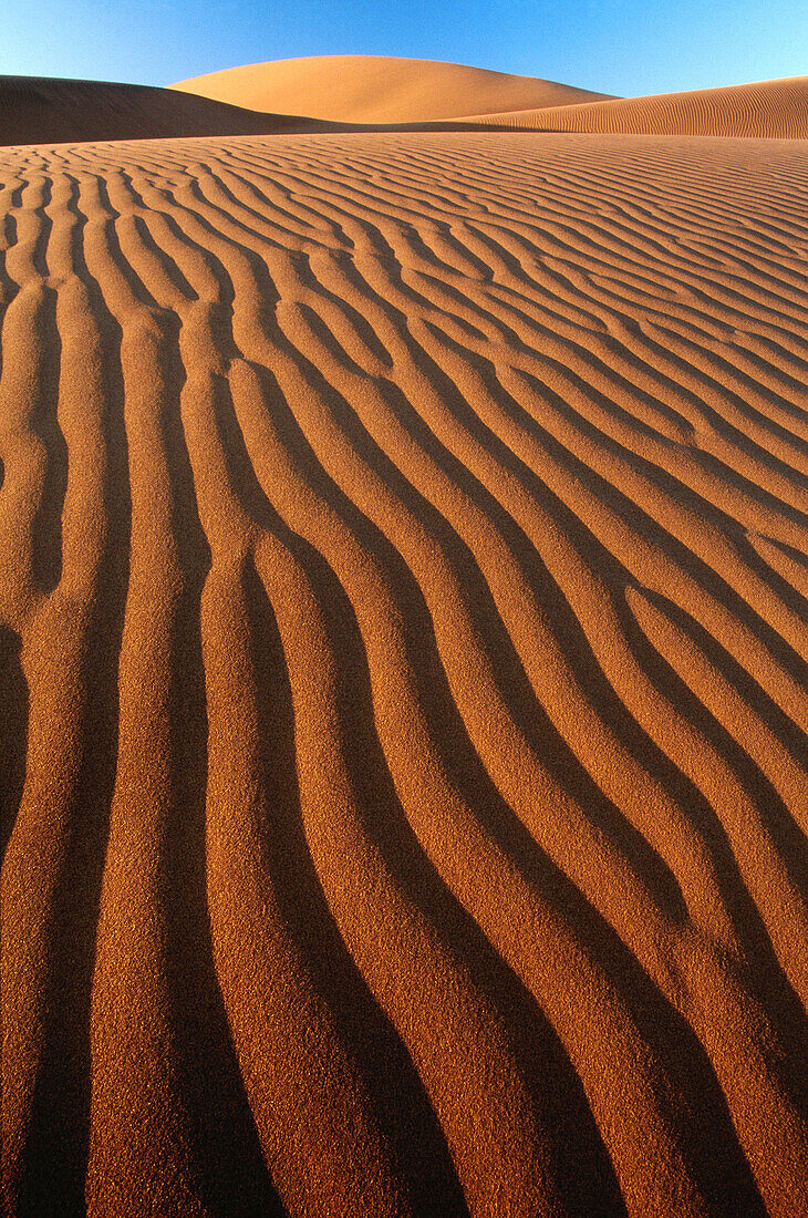 Namib-Naukluft Park. Namib Desert. Namibia