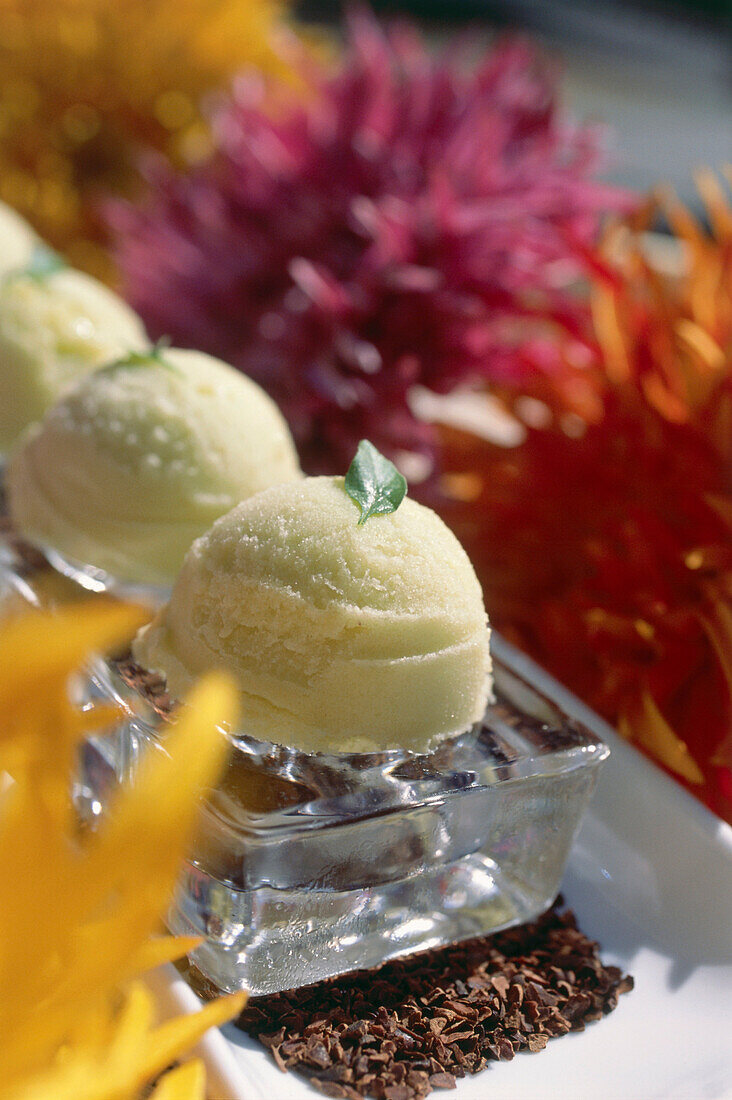 Sorbet dessert in Restaurant Klee Brasserie, Manhattan, New York, USA, America