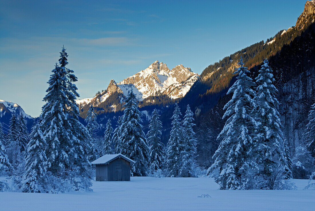 Schneebedeckter Stadel im Weitmoos, Klammspitze im Hintergrund, Ammergauer Alpen, Bayern, Deutschland