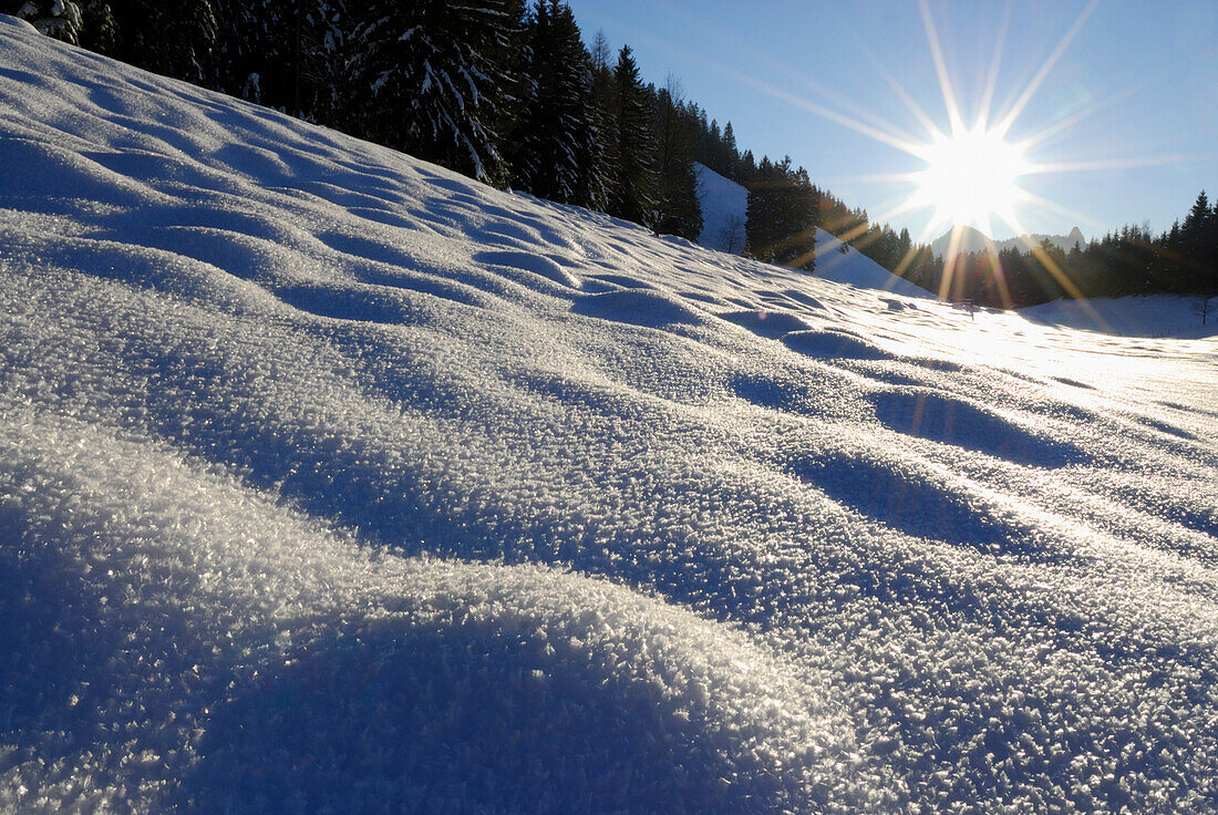 Snow with hoar frost, Hochries, Chiemgau, Upper Bavaria, Bavaria, Germany