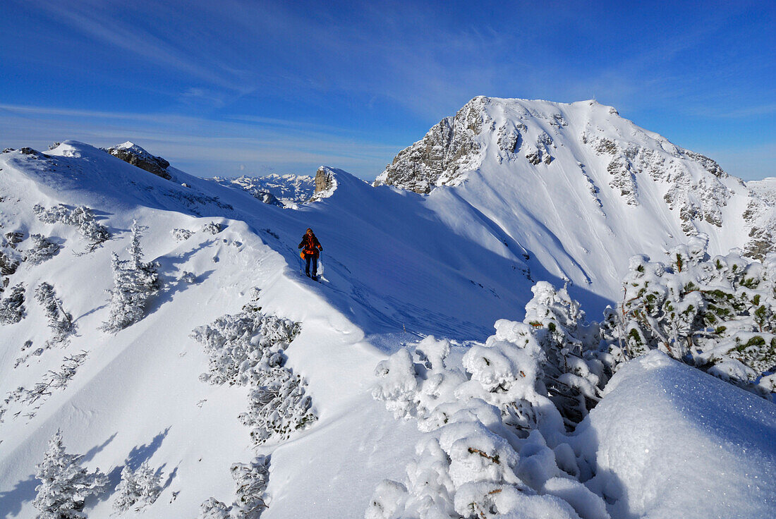 Female backcountry skier ascending Ponten, Allgaeu Alps, Tyrol, Austria