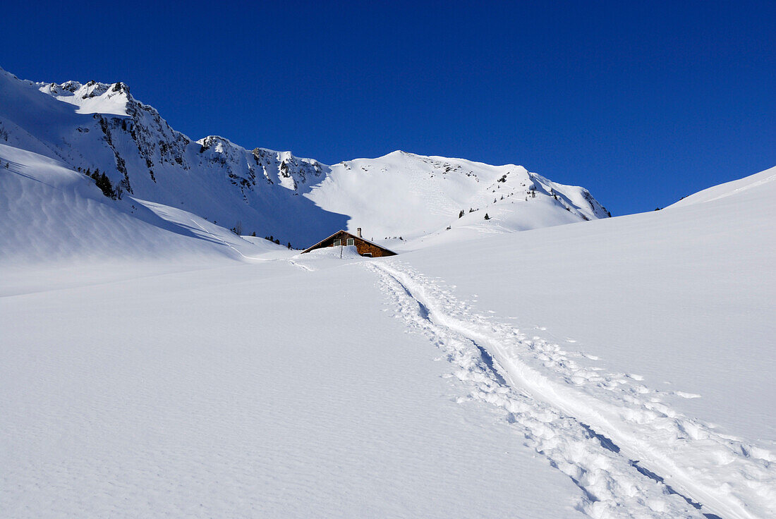 ski track leading towards deeply snow-covered alpine hut, Schwarzwassertal, Kleinwalsertal, Allgaeu range, Allgaeu, Vorarlberg, Austria