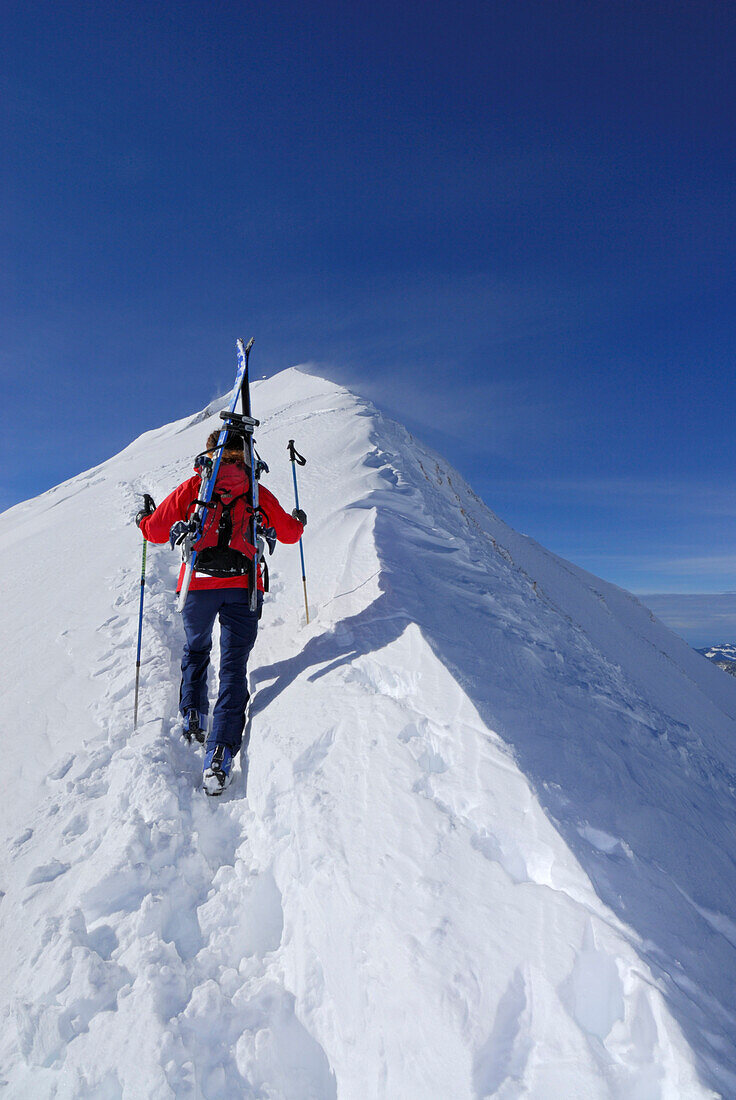 young woman ascending summit ridge of Güntlespitze, Kleinwalsertal, Allgaeu range, Allgaeu, Vorarlberg, Austria