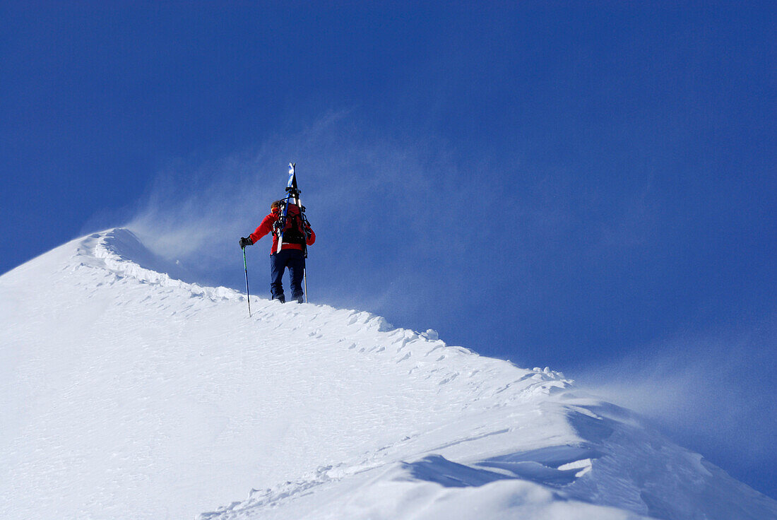 Female backcountry skier ascending summit ridge, Kleinwalsertal, Allgaeu Alps, Vorarlberg, Austria