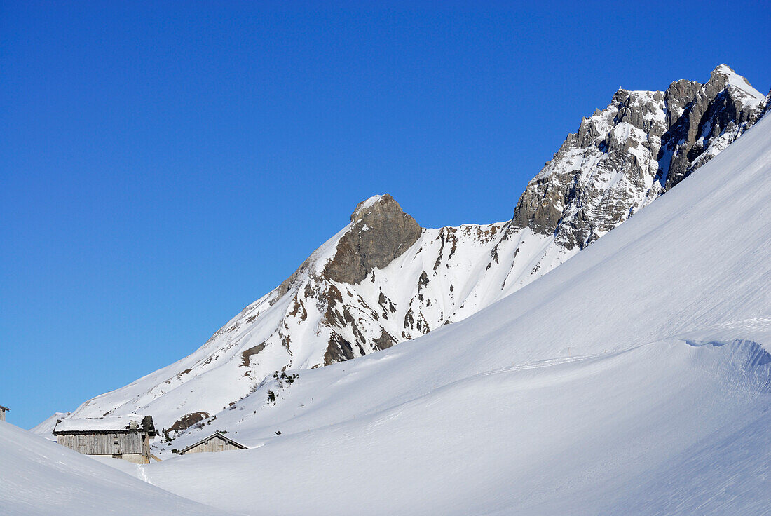 Vordere Lechleitner Alm mit Hochrappenkopf, Lechleiten, Allgäuer Alpen, Allgäu, Tirol, Österreich