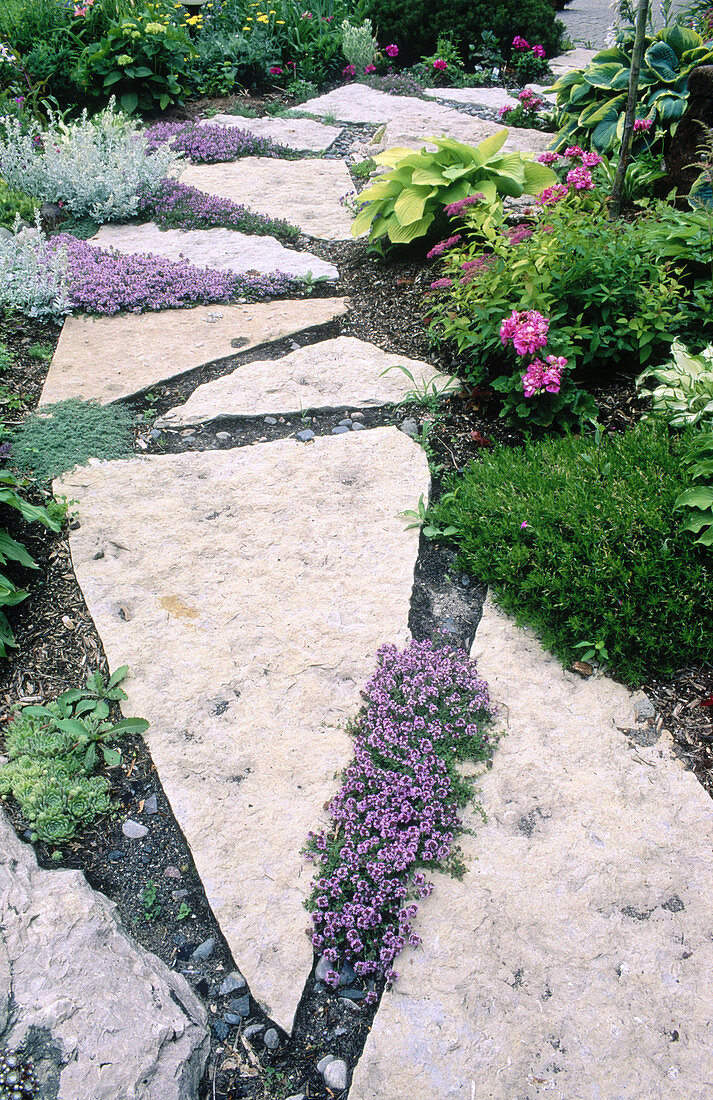 Dr. & Mrs. K. Abourbih s limestone path garden. Sudbury. Ontario. Canada