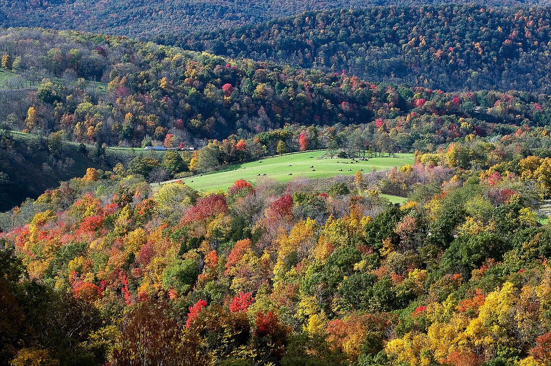 West Virginia autumn landscape. Germany Valley, WV, USA