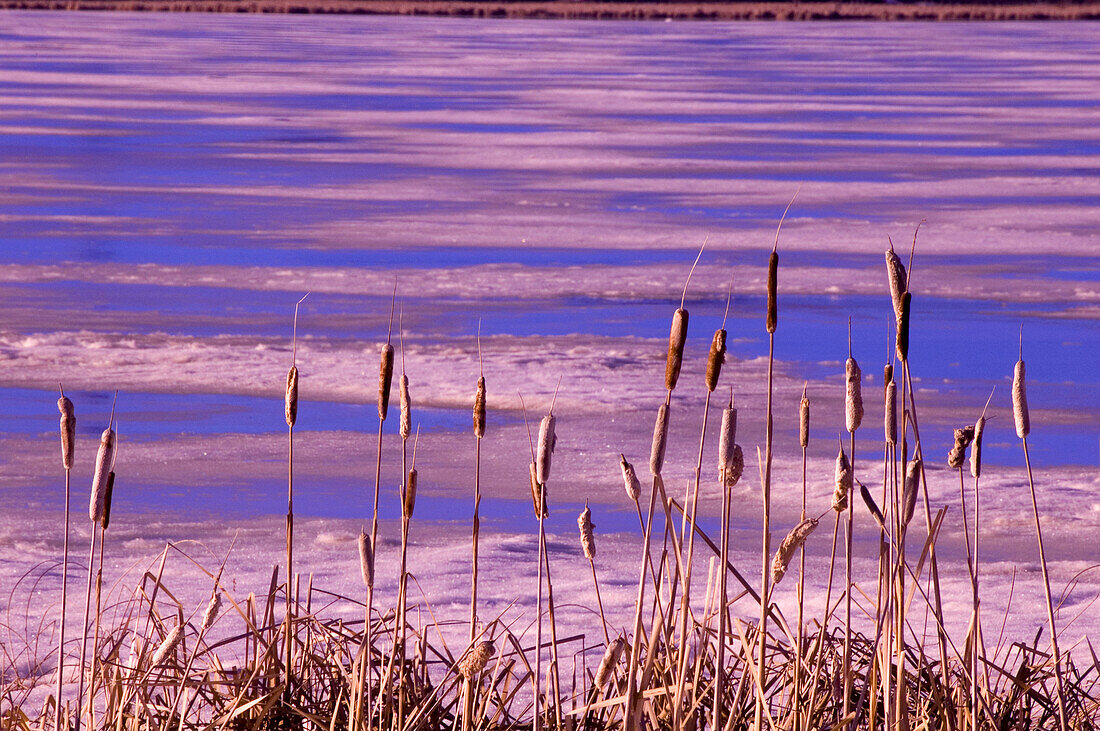 Meltwater patterns on Kelly Lake. Sudbury. Ontario, Canada
