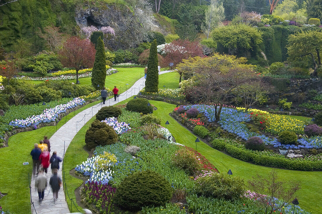 Spring bloom in the Sunken Garden. The Butchart Gardens, Victoria, BC, Canada