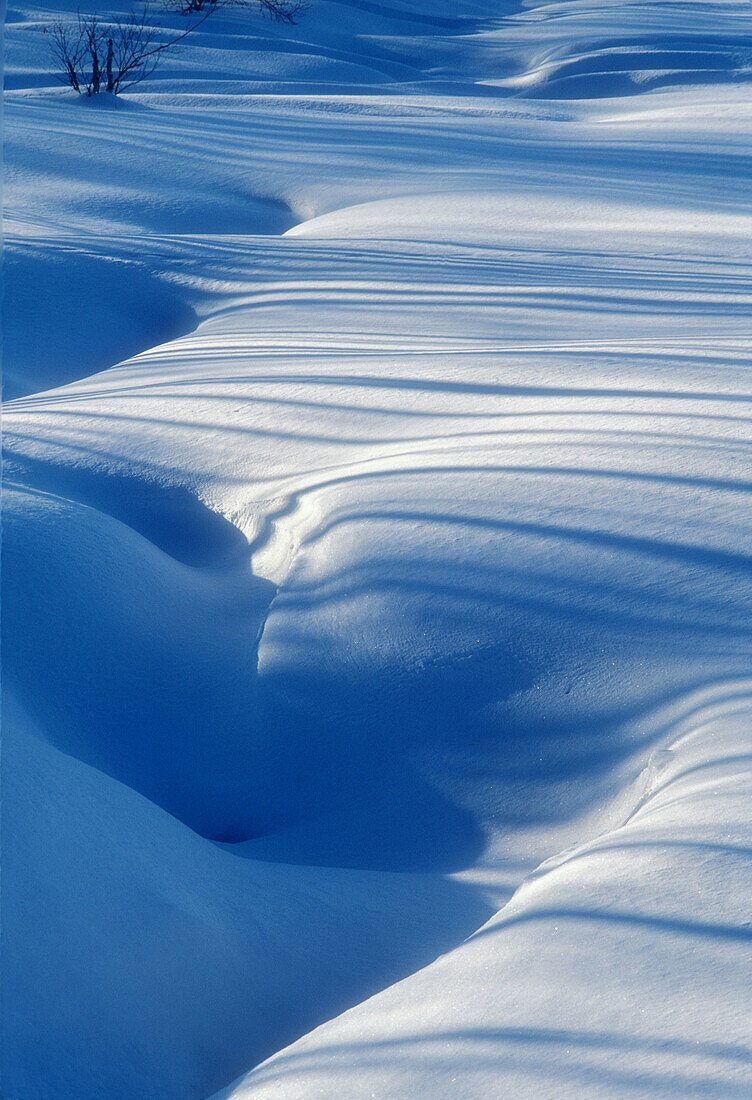 Tree shadows falling on snow contours around small creek. Sudbury. Ontario, Canada