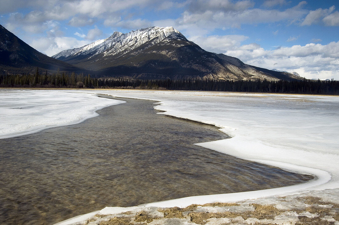 Open water channel in Jasper Flats. Alberta, Canada