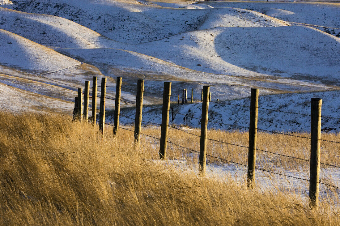 Fenceline overlooking Oldman River Valley with fresh snow. Picture Butte, Alberta, Canada 