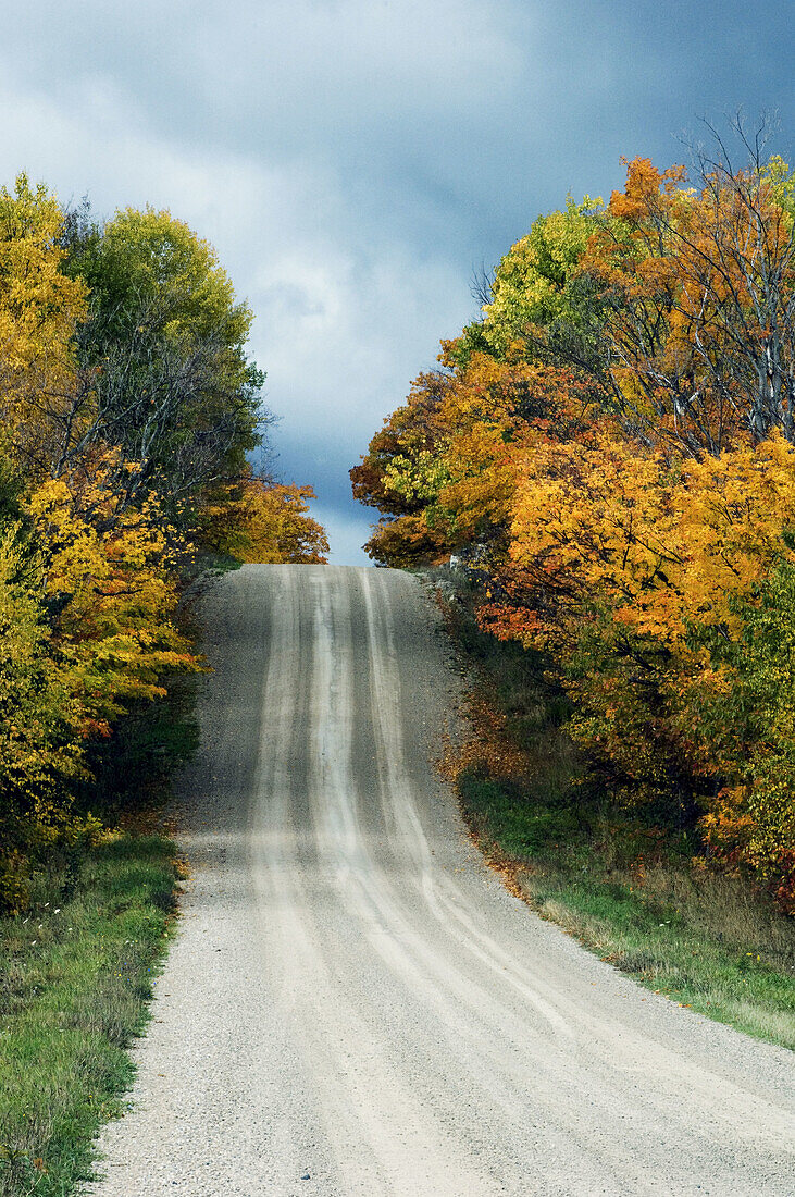 Country road and fall colour. Manitoulin Is., Ontario, Canada 