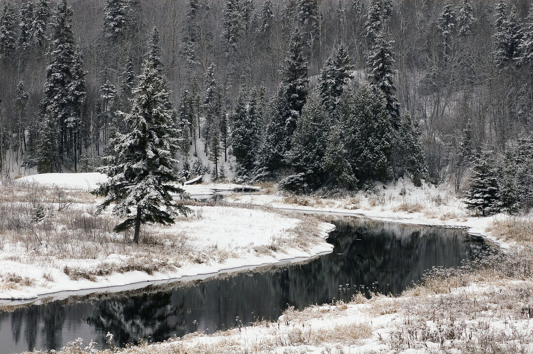 Fresh dusting of light snow on shores of Junction Creek. Lively, Ontario, Canada 