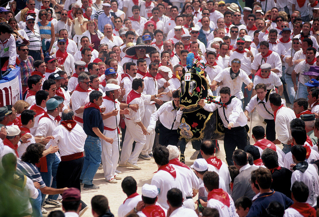 Los caballos del vino , local festival. Caravaca de la Cruz. Murcia. Spain