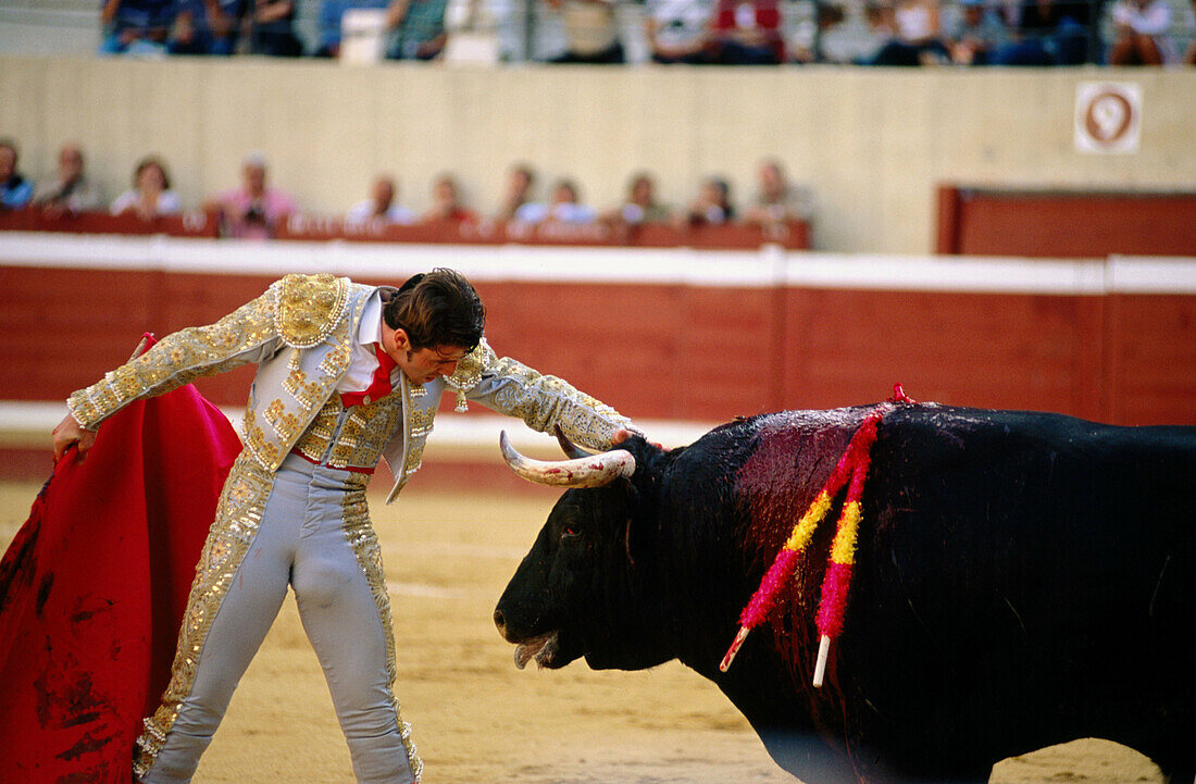 Bullfighting. Spain