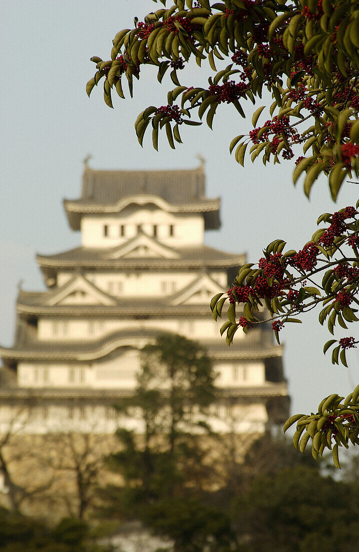 Himeji Castle (built in the 14th century and reconstructed in 1577 and 1964). Himeji, Japan