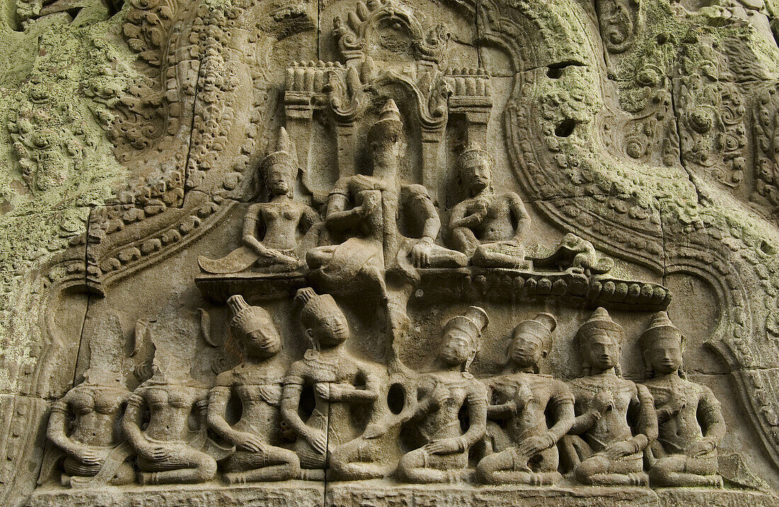 Ta Prohm, one of the temples of Ankor, Cambodia.