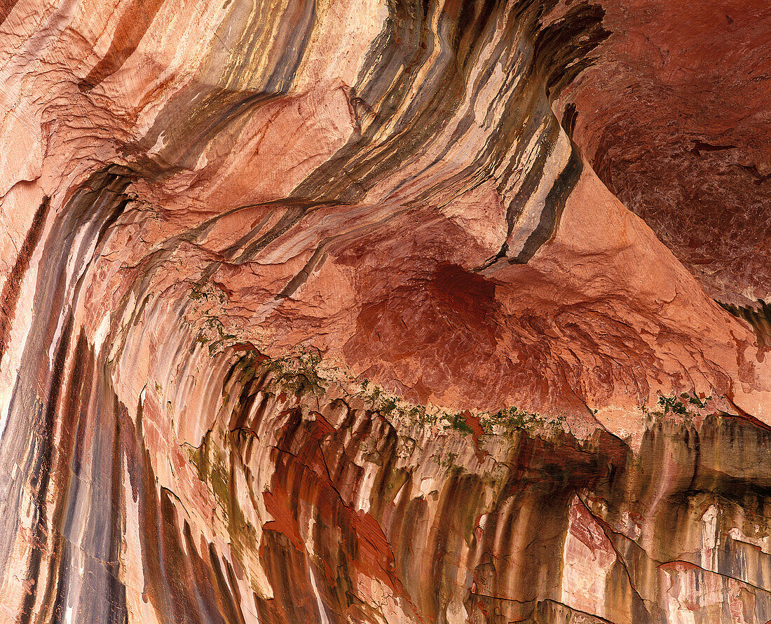 Kolob Canyons. Zion National Park. Utah. USA