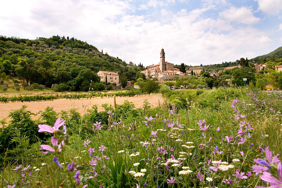 Arqua Petrarca, Eugeaneische Hügel, Venetien, Italien