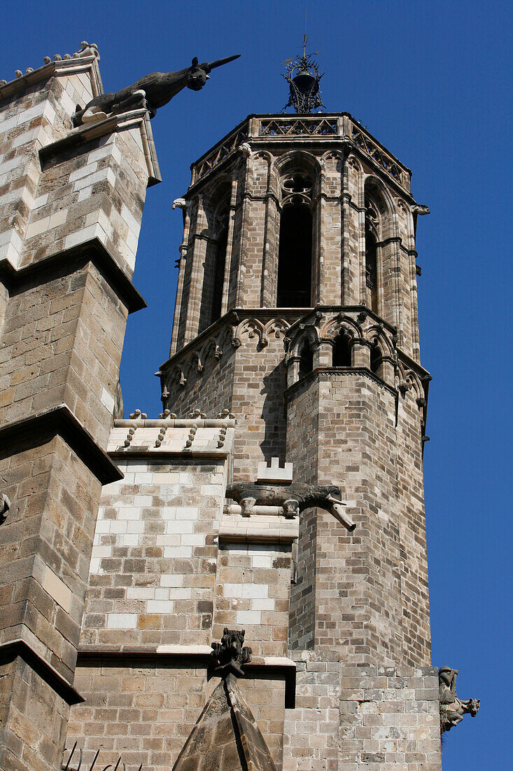 Detail of Cathedral in Barrio Gotic, Barcelona, Catalonia, Spain