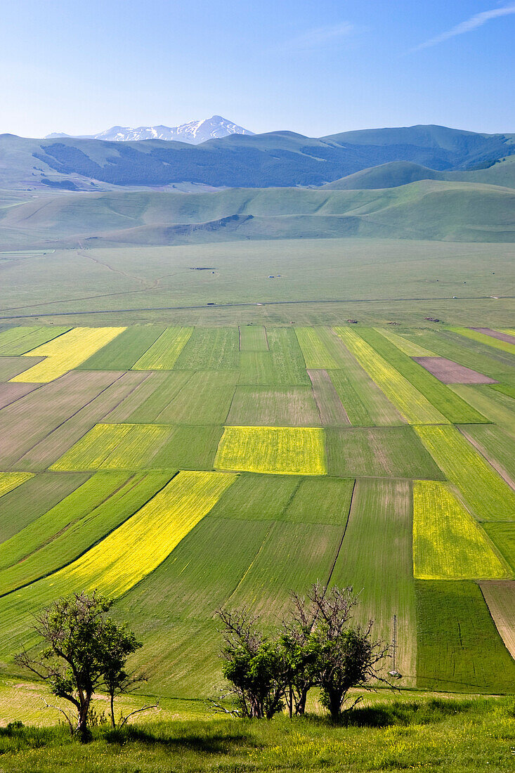 Monti Sibillini Nationalpark bei Castelluccio, Umbrien, Italien