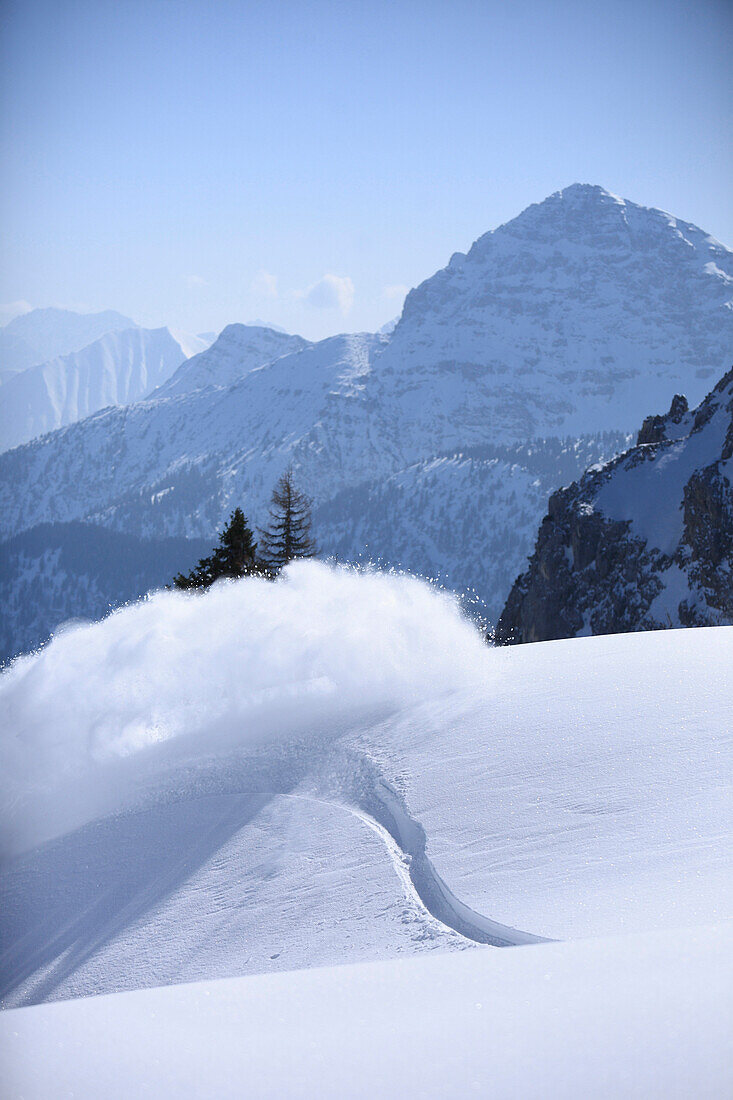 Snowboard tracks in snow, Reutte, Tyrol, Austria
