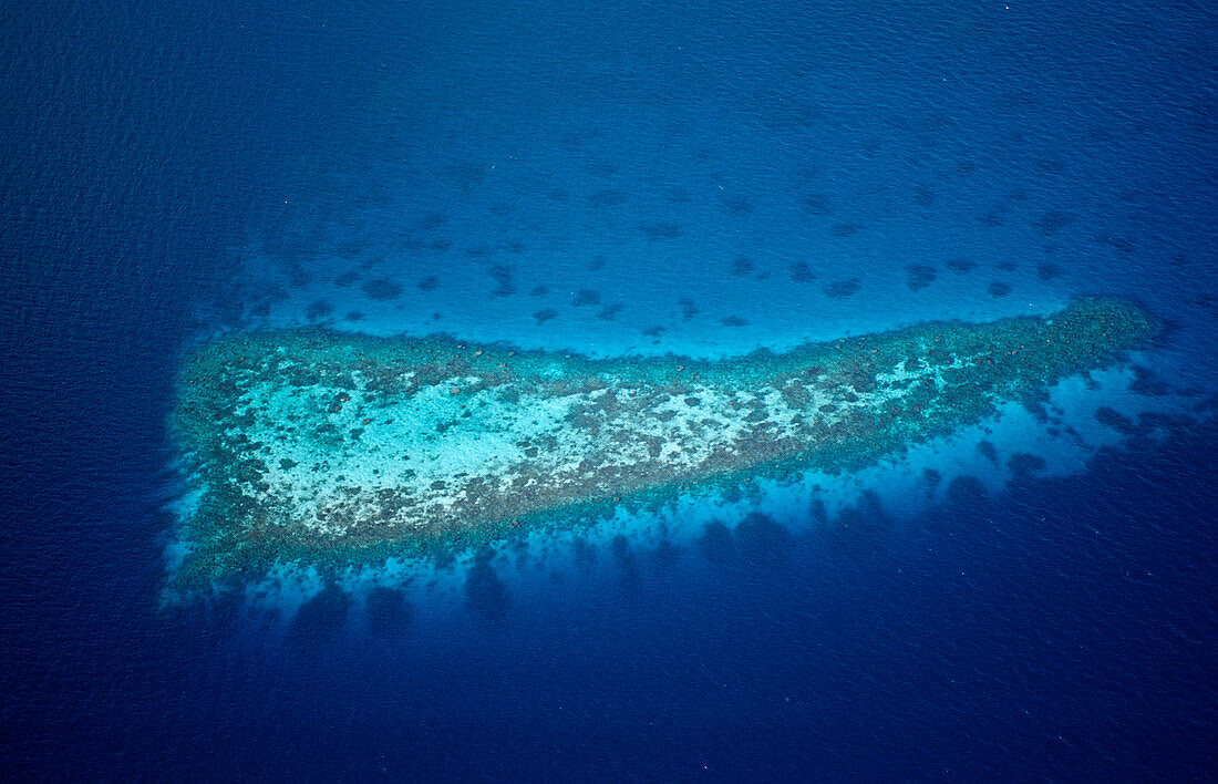 Luftaufnahme von Korallenriffen der Malediven