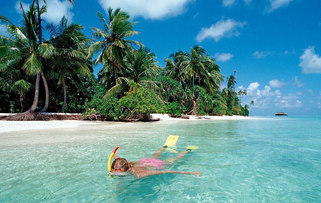 Snorkeler at Maldives, Maldives, Indian Ocean, Medhufushi, Meemu Atoll