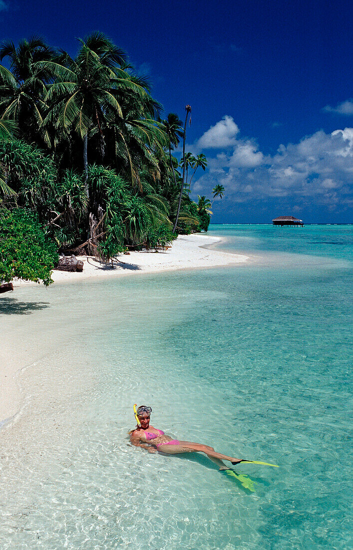 Schnorcheln vor Malediveninsel, Malediven, Indischer Ozean, Medhufushi, Meemu Atoll