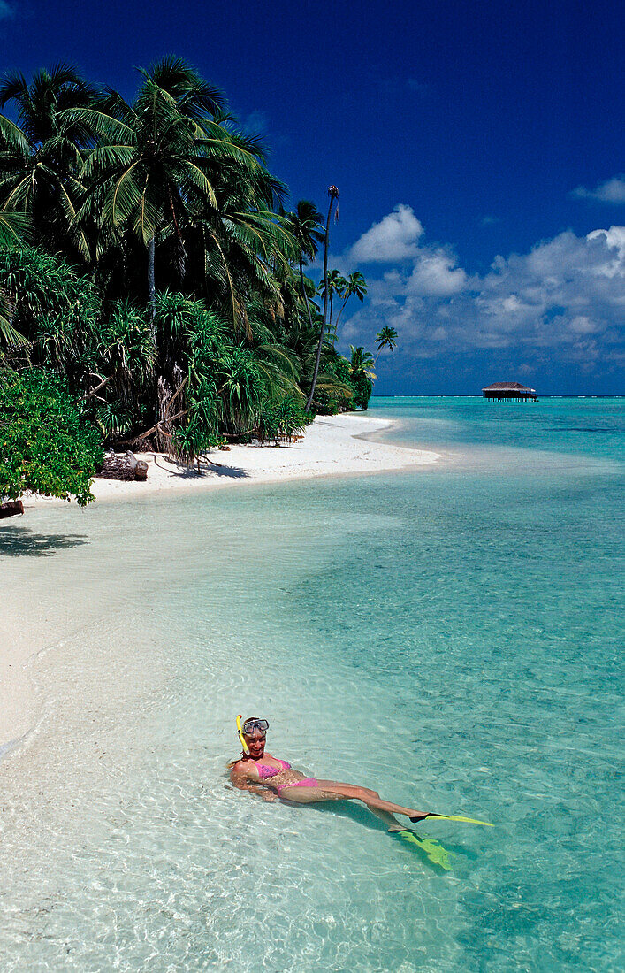 Snorkeling close to Island, Maldives, Indian Ocean, Medhufushi, Meemu Atoll