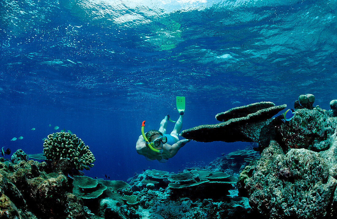 Riff mit Tischkorallen und Schnorchler, Malediven, Indischer Ozean, Meemu Atoll