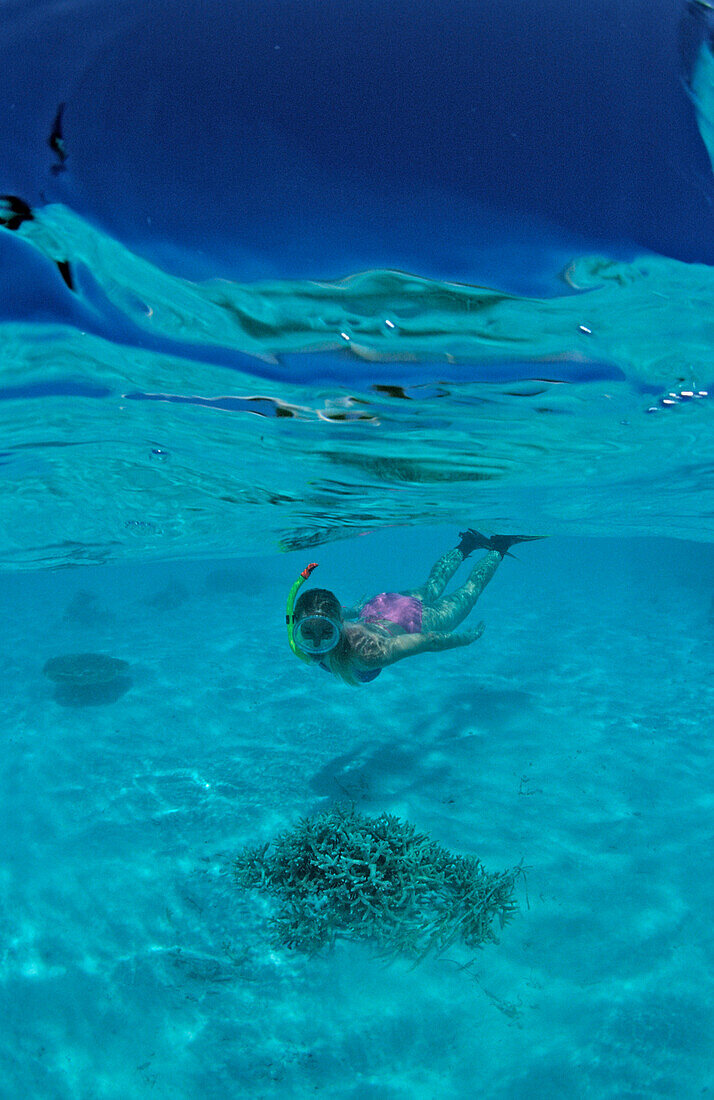 Snorkeling in Lagoon, Maldives, Indian Ocean, North-Male Atoll