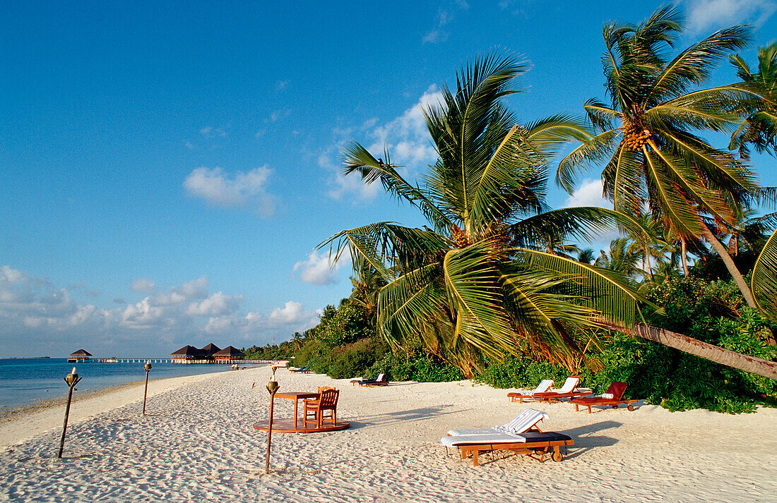 Maledivian Beach, Maldives, Indian Ocean, Medhufushi, Meemu Atoll