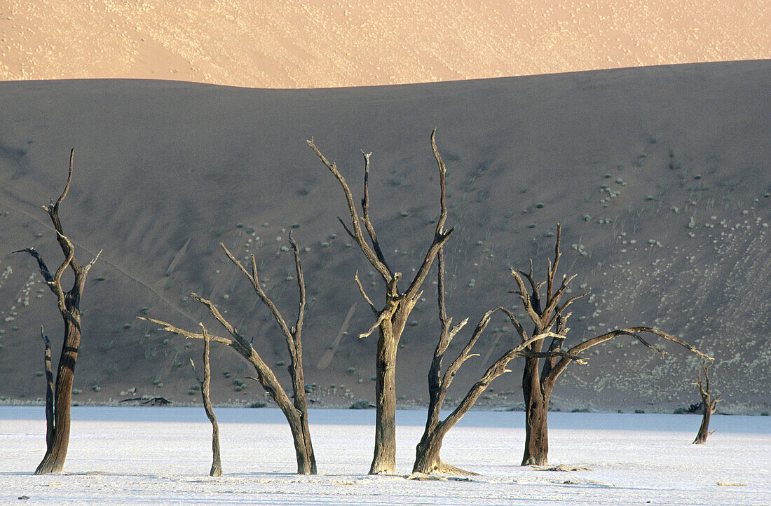 Namib desert. Sesriem. Namibia.