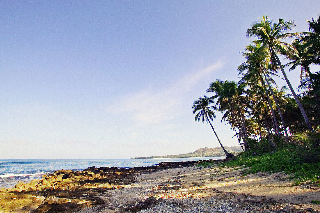 Ocean with Palm Trees, Early Morning, Tropical Paradise, Ilocos Norte, Pagudpud, Philippines