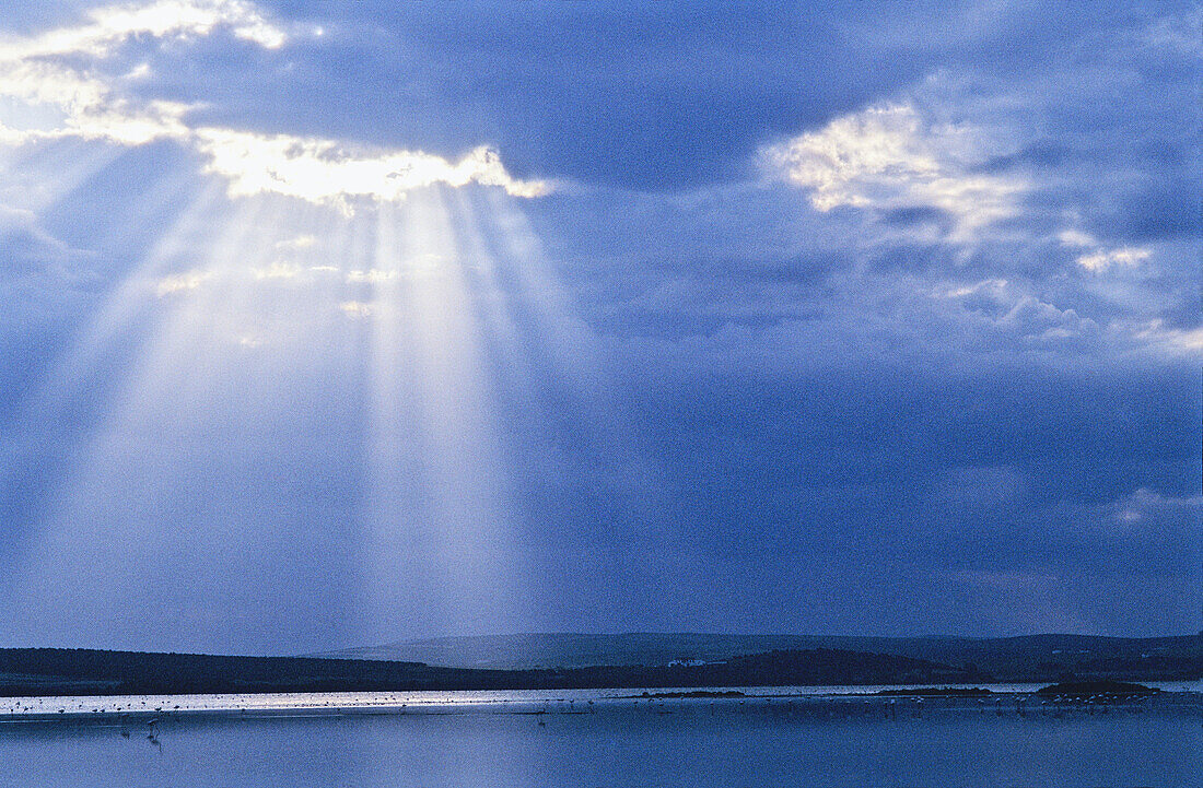 Fuente de Piedra lagoon. Málaga province, Spain