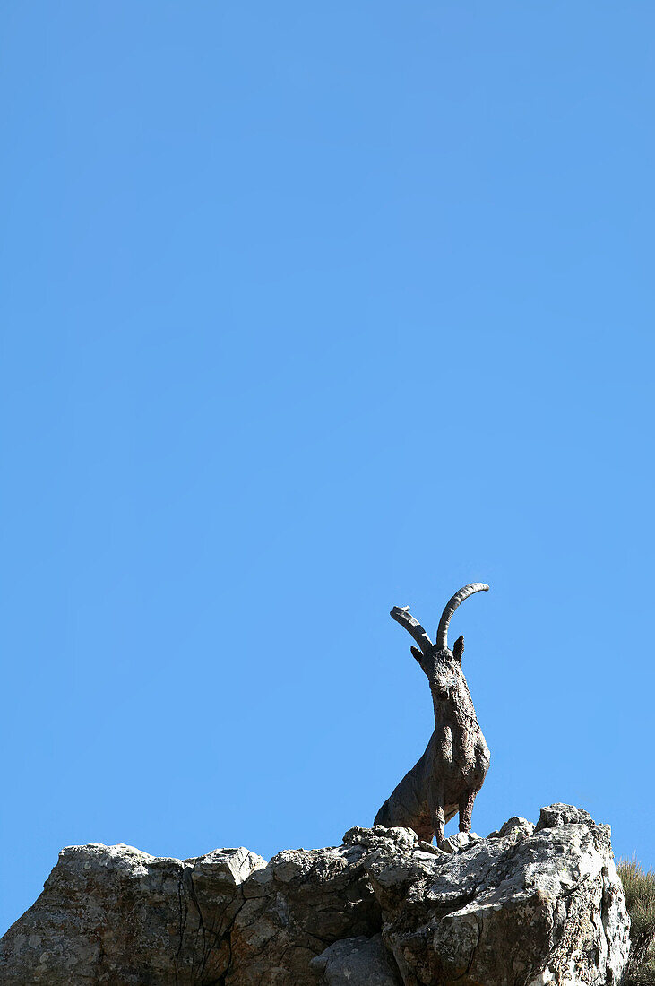 Bronze sculpture. Malaga. Spain.