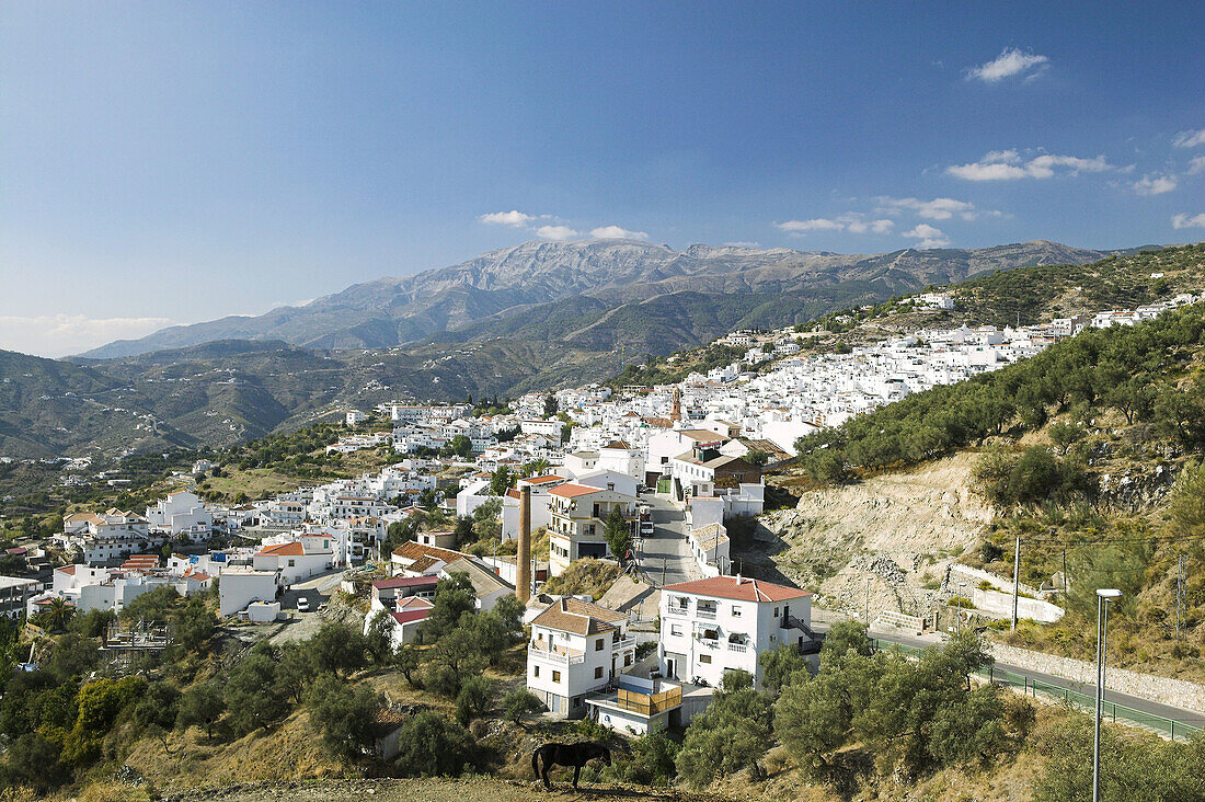 Competa. Axarquia, Costa del Sol, Andalusia, Spain