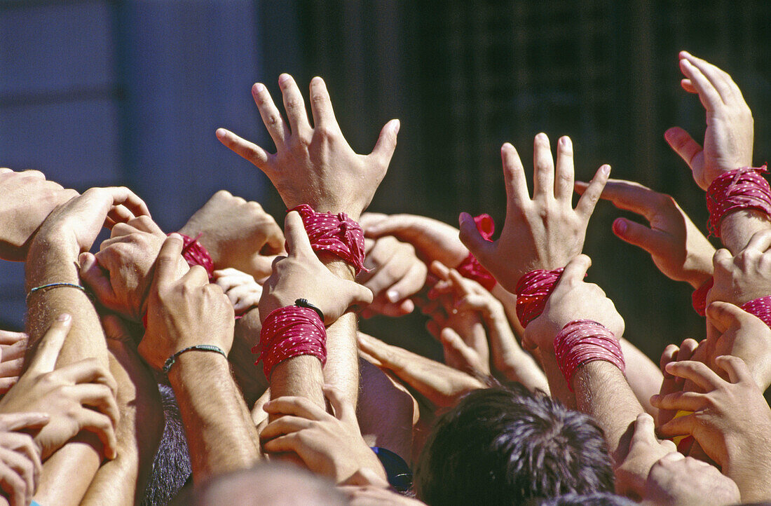 Pinya , foundation of a Castell or Human Tower. Barcelona. Catalonia. Spain.